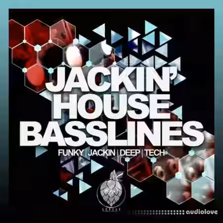 Dirty Music Jackin House Basslines [WAV] - Sample Pack Artwork