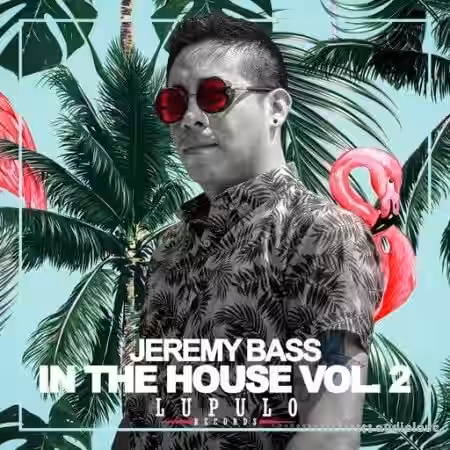 Dirty Music Jeremy Bass - In The House Vol. 2 [WAV] - Sample Pack Artwork