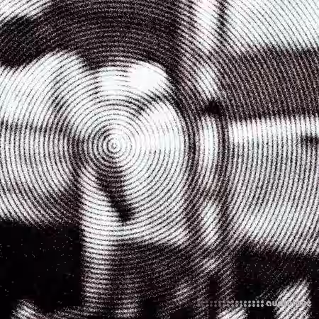 Distant Animals Dichotomies [WAV] - Sample Pack Artwork