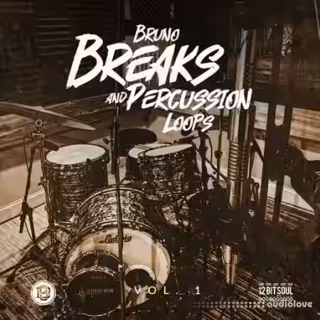 Divided Souls Bruno Breaks And Percussion Loops [WAV] - Sample Pack Artwork