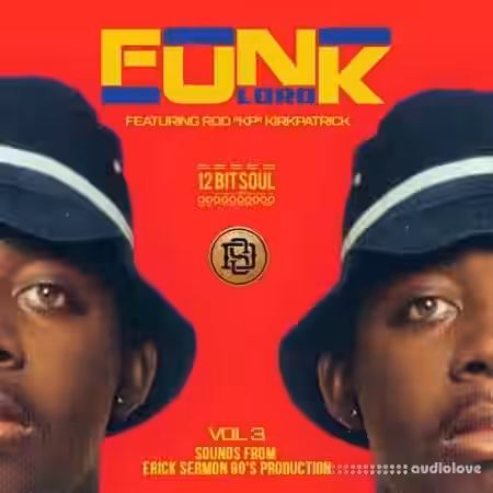 Divided Souls Funk Lord Volume 3 [WAV] - Sample Pack Artwork