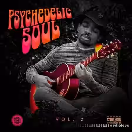 Divided Souls Psychedelic Soul Vol.2 [WAV] - Sample Pack Artwork