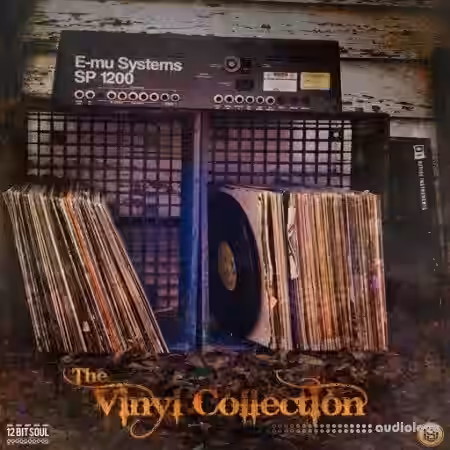 Divided Souls The Vinyl Collection [WAV] - Sample Pack Artwork