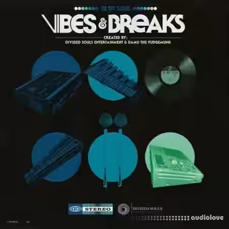 Divided Souls Vibes & Breaks [WAV] - Sample Pack Artwork