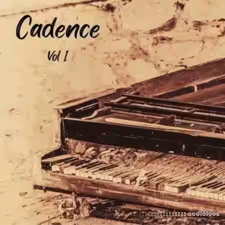DiyMusicBiz Cadence Vol 1 [WAV] - Sample Pack Artwork