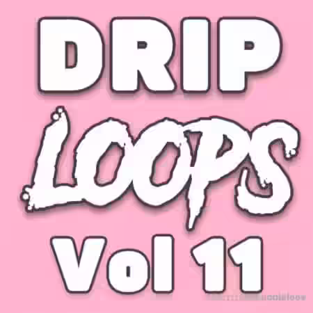 DiyMusicBiz Drip Loops Vol.11 [WAV] - Sample Pack Artwork