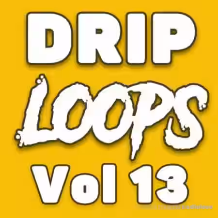 DiyMusicBiz Drip Loops Vol.13 [WAV] - Sample Pack Artwork