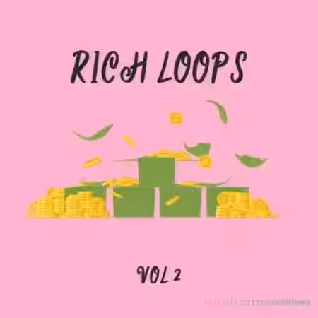 DiyMusicBiz Rich Loop Vol.2 [WAV] - Sample Pack Artwork