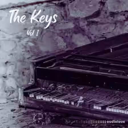 DiyMusicBiz The Keys Vol 1 [WAV] - Sample Pack Artwork