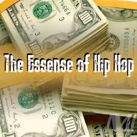 DJ Maestro 1 The Essence Of Hip Hop [WAV] - Sample Pack Artwork