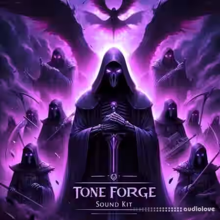 DNX Tone Forge Tool Kit Complete Edition [WAV, MiDi] - Sample Pack Artwork