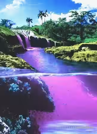 Dollie Drumkits Dollie Drum Kit [WAV] - Sample Pack Artwork