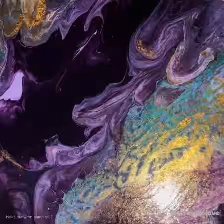 Dome of Doom Blake Skowron Samples 2 [WAV] - Sample Pack Artwork