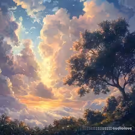 Dowfi Sample Pack (Textures) (Patreon) [WAV] - Sample Pack Artwork