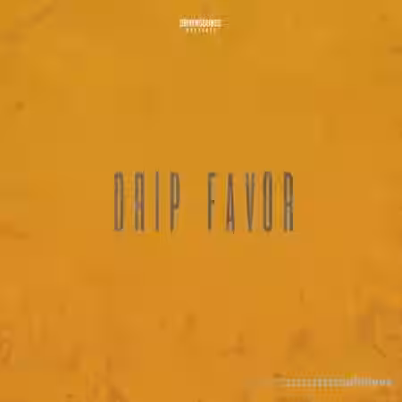 DRIVENSOUNDS DRIP FAVOR [WAV] - Sample Pack Artwork