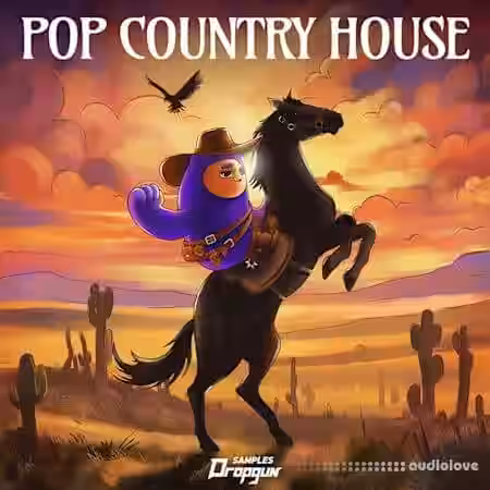 Dropgun Samples Pop Country House [WAV, Synth Presets] - Sample Pack Artwork