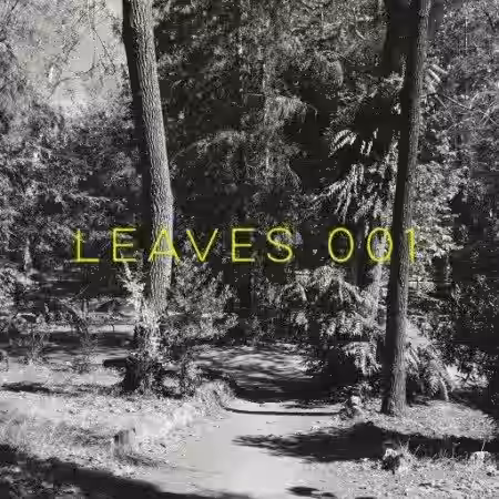Drum and Lace Leaves 001 [WAV] - Sample Pack Artwork