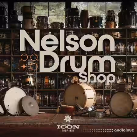 Drum Sample Shop Nelson Drum Shop Sample Pack [MULTiFORMAT, WAV, Synth Presets] - Sample Pack Artwork
