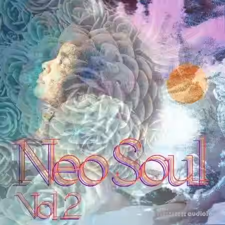 Drumdrops Neo Soul Vol.2 [WAV] - Sample Pack Artwork
