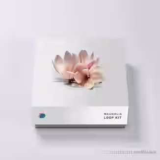 DrumVault Magnolia Stem Kit [WAV, MiDi]