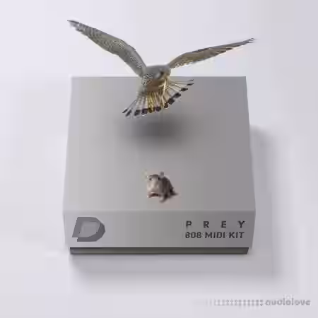 Drumvault Prey 808 MiDi Loop Kit [WAV, MiDi] - Sample Pack Artwork
