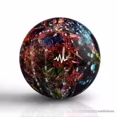 DT x Ryan Bevolo Shotcall (Loop Kit) [WAV] - Sample Pack Artwork