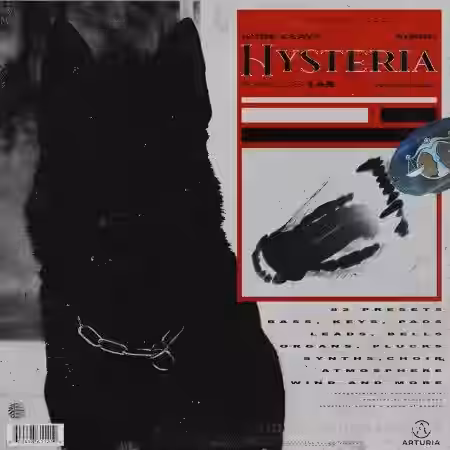 Dude Clayy x Simbo Hysteria (Analog Lab Bank) [Synth Presets] - Sample Pack Artwork