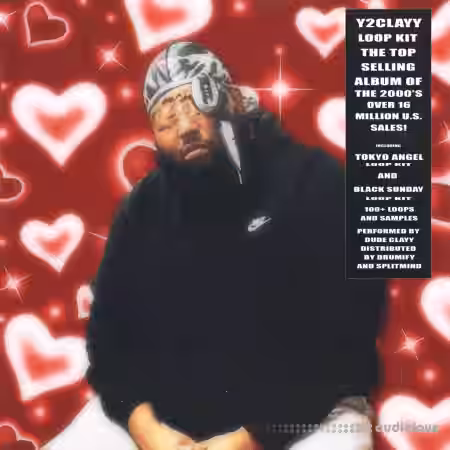 Dude Clayy Y2CLAYY Loop Kit [WAV] - Sample Pack Artwork