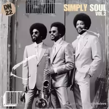 Dusty Notes Simply Soul Vol.2 [WAV] - Sample Pack Artwork