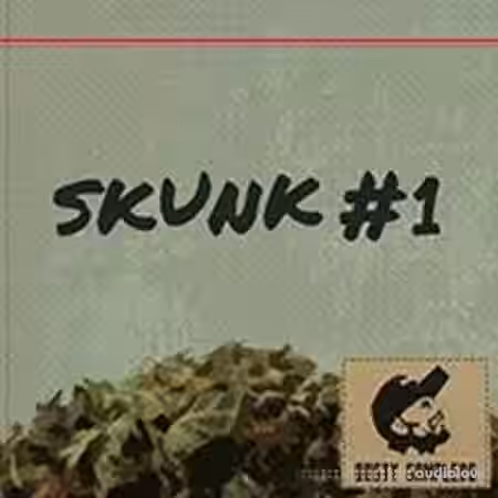 Dusty Samplers Skunk 1 [WAV] - Sample Pack Artwork