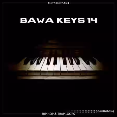 Dynasty Loops Bawa Keys 14 [WAV] - Sample Pack Artwork