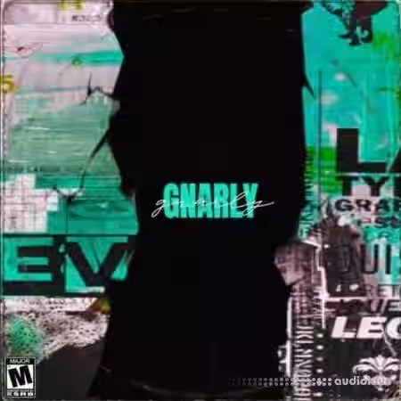 Dynasty Loops Gnarly [WAV] - Sample Pack Artwork