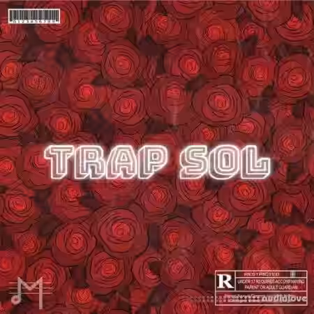 Dynasty Loops Trap Sol [WAV] - Sample Pack Artwork