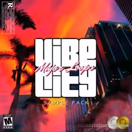Dynasty Loops Vibe City [WAV] - Sample Pack Artwork