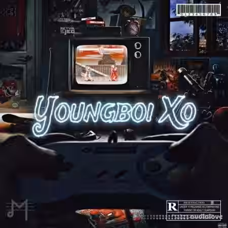 Dynasty Loops Youngboi Xo [WAV] - Sample Pack Artwork