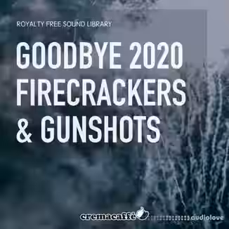 LofiAndy Sounds Goodbye 2020 Firecrackers and Gunshots [WAV]