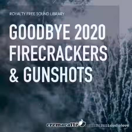 LofiAndy Sounds Goodbye 2020 Firecrackers and Gunshots [WAV] - Sample Pack Artwork