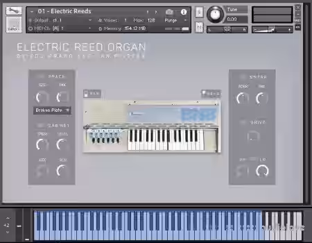Edu Prado Sounds Electric Reed Organ [KONTAKT] - Sample Pack Artwork