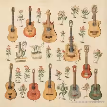 Emeraldp Odb Guitara Vol.2 [WAV] - Sample Pack Artwork