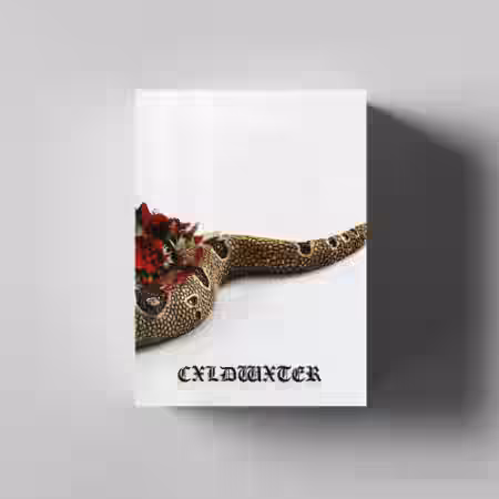 ENIGMA CXLDWXTER (DRUMKIT) [WAV] - Sample Pack Artwork