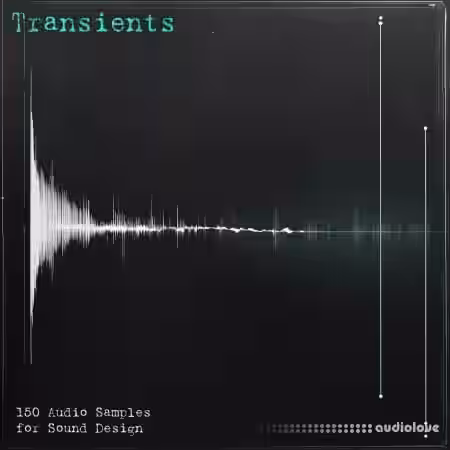 Eric Bowman Transients Sample Pack [WAV, Synth Presets] - Sample Pack Artwork