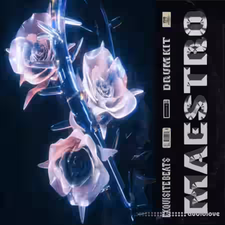 Exquisite Beats Maestro (Drum Kit) [WAV] - Sample Pack Artwork