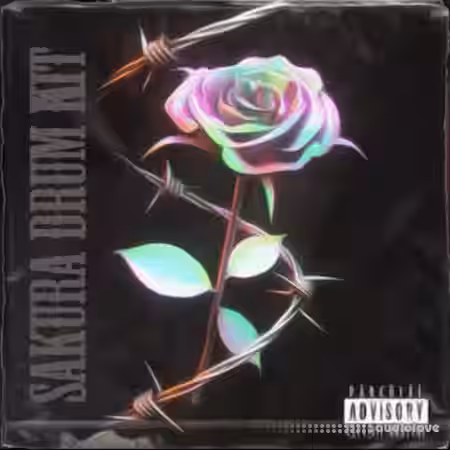 Exquisite Beats Sakura (Drum Kit) [WAV] - Sample Pack Artwork