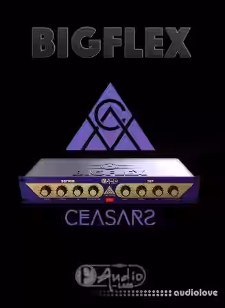 F-AudioLabs BigFlex v1.2.1 [WiN] - Sample Pack Artwork