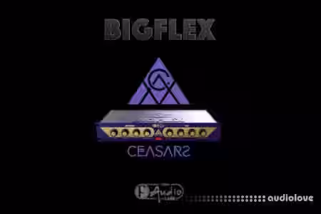 F-AudioLabs BigFlex v1.2.1 Regged [MacOSX] - Sample Pack Artwork