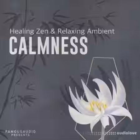 Famous Audio Calmness Healing Zen and Relaxing Ambient [WAV] - Sample Pack Artwork