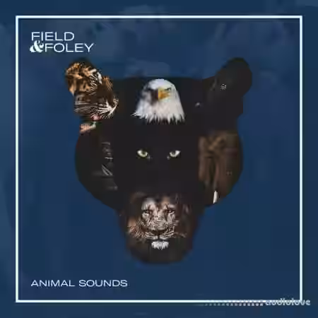 Field and Foley Animal Sounds [WAV] - Sample Pack Artwork