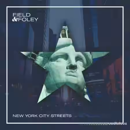 Field and Foley New York City Streets [WAV, Synth Presets] - Sample Pack Artwork