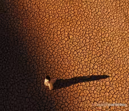 Filmkid Riser SFX Pack [WAV] - Sample Pack Artwork