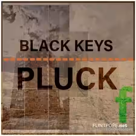 Flintpope BLACK KEYS PLUCK [WAV] - Sample Pack Artwork